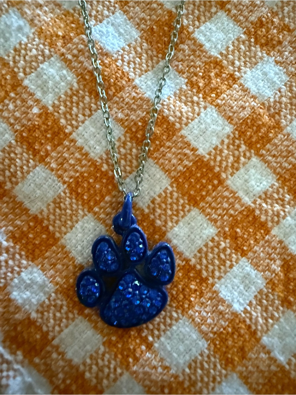 Blue Paw Print Pendant Necklace